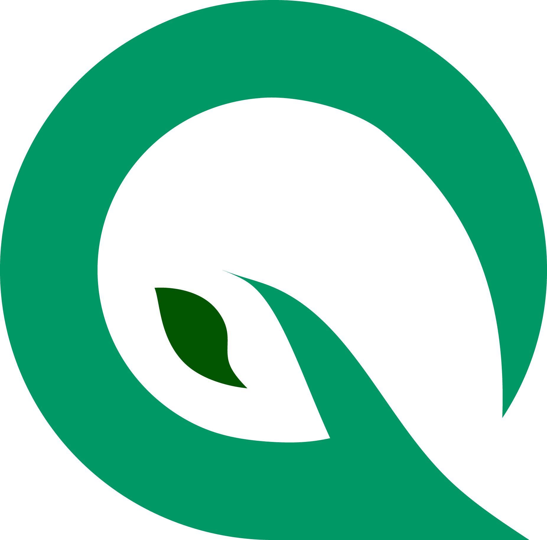 sustainable quantum initiative